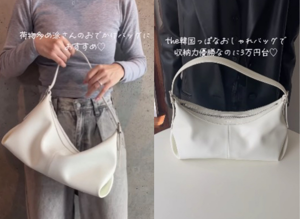 (サイズ) 高さ22cm × 幅35cm × マチ12cm