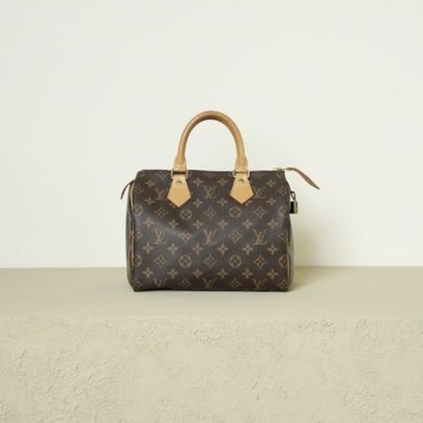 [極美品] LOUIS VUITTON ルイヴィトン モノグラム スピーディ25