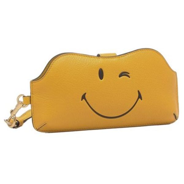 ANYA HINDMARCH メガネケース ウィンク 5050925201803