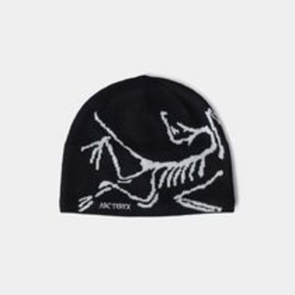 完売必見●ARC'TERYXアークテリクス●BIRD HEAD TOQUE