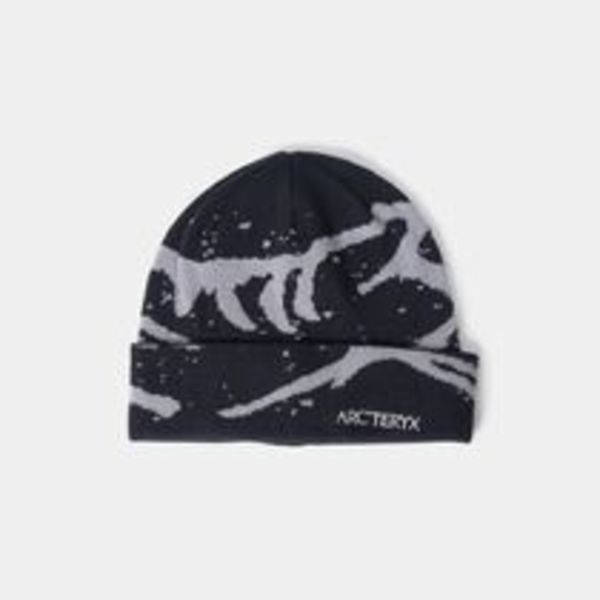 【Arc'teryx】グロットトーク ニット帽 Grotto Toque ロゴ