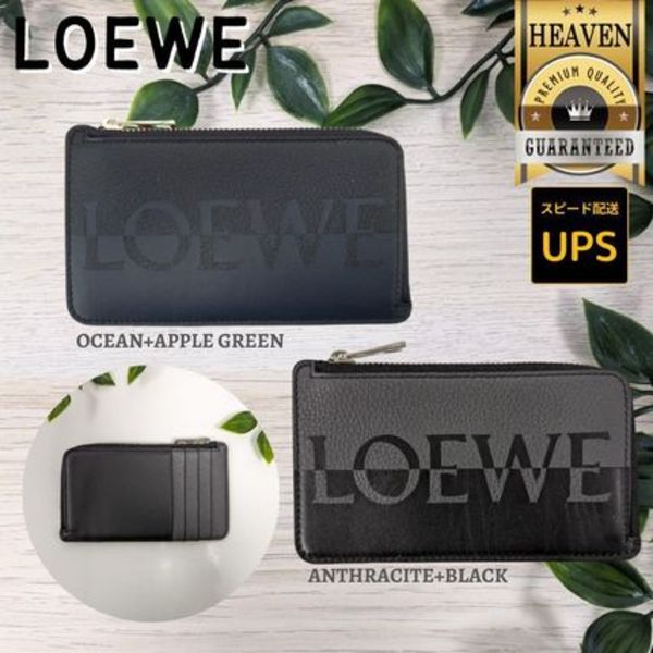 6万取引突破★UPS速達便利用!【LOEWE★ロエベ】 C314Z40X02