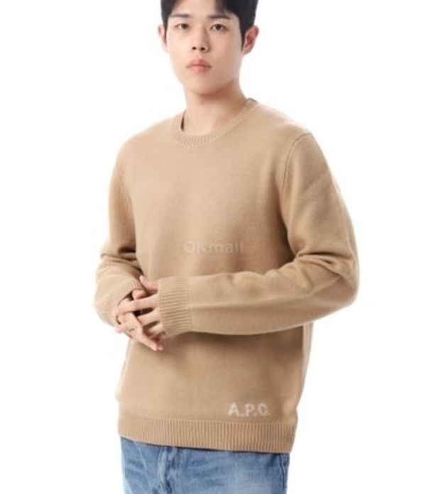 A.P.C|ROUND NECK KNITS (Edward Jumper (WVBDJ H23059 CAB