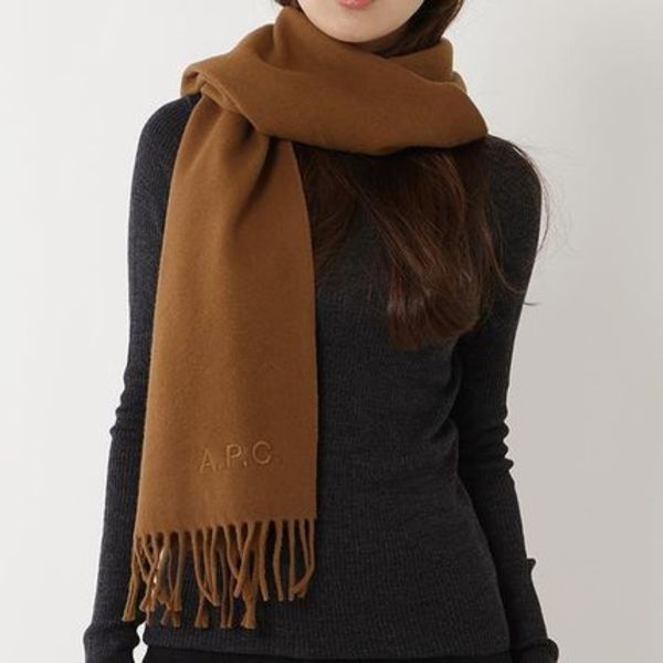 APC マフラー M15171 WOAFE