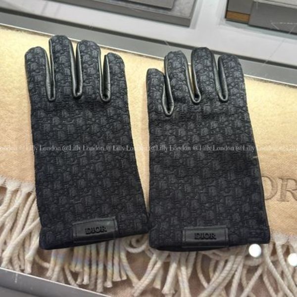 Dior ディオール オブリーク グローブ 手袋