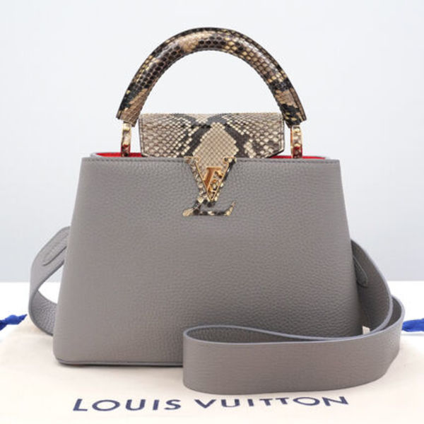 【未使用 展示品】Louis Vuitton カプシーヌ BB バッグ N82068