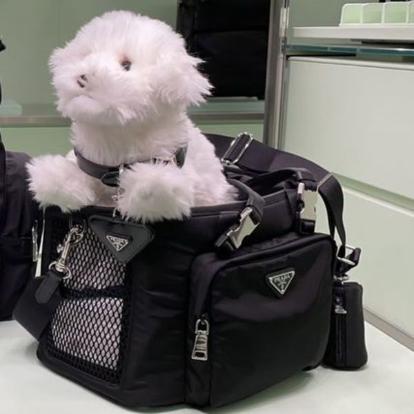 【日本未入荷】PRADA◆Re-Nylon  レザー ペット バッグ