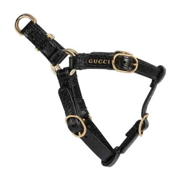 ★GUCCI★ ペット ハーネス 692963 2ZR0G 1000