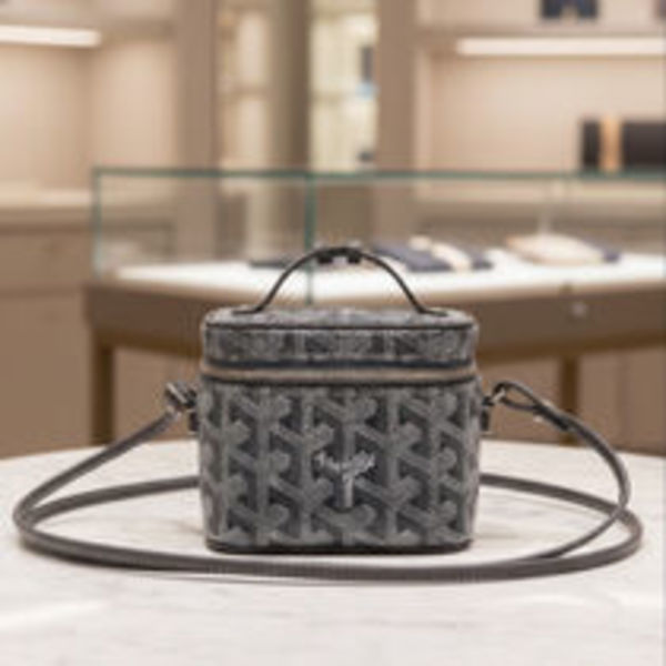 GOYARD【VINTAGE】ミューズ ナノ 2WAY バニティ バッグ グレー