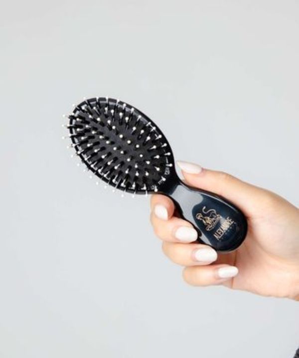 ALEXANDRE DE PARIS ヘアブラシ NBRS 50045 LES BROSSES