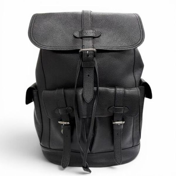 美品 COACH F36811 ハドソン リュックサック デイパック 黒