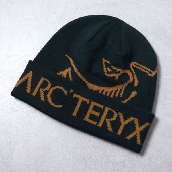 国内発送 アークテリクス ニットキャップ Bird Word Tque