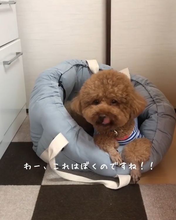 二次利用許諾済み画像