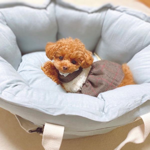 二次利用許諾済み画像