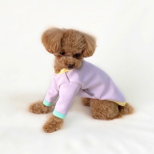 二次利用許諾済み画像