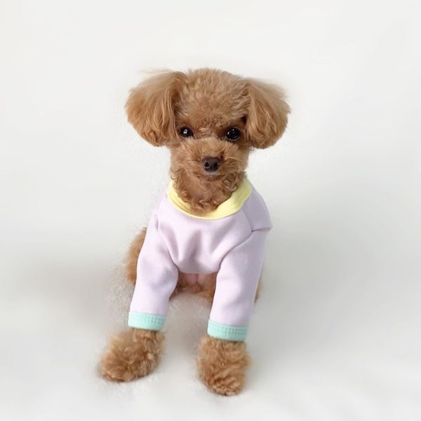 二次利用許諾済み画像