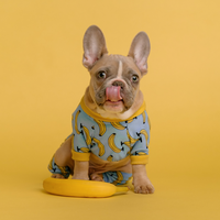 フレンチブルドッグ愛好家必見☆「フレブル専門ブランド」のグッズでワンちゃんも大満足!