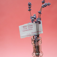 紙の”ルームフレグランス”って知ってる?新たな香りの楽しみ方、おしゃれな『アルメニア・ペーパー』で上質な時間を