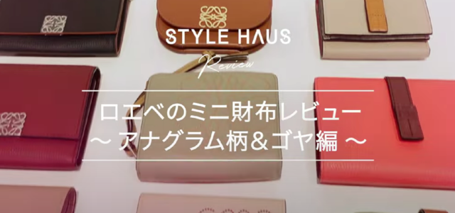 中編】全12点!! LOEWE(ロエベ)のミニ財布をリアルレビュー♡素材