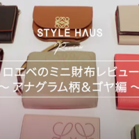 【中編】全12点!! LOEWE(ロエベ)のミニ財布をリアルレビュー♡素材、サイズ感、使いやすさを比較してみた!~アナグラム&ゴヤ編~