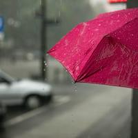 【スタハ編集部に直撃】憂鬱な梅雨・夏を乗り切るおすすめアイテム8選