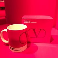 見つけたら迷わず欲しい♡『Valentino(ヴァレンティノ)』「Pink PP(ピンクPP)」コレクション