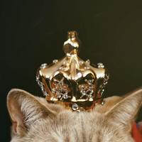 【キャサリン妃&メ―ガン妃も愛用】イギリス王室ご用達ブランド10選