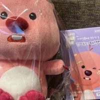 韓国で大人気♡「ZANMANG LOOPY(ジャンマンルピー)」の可愛すぎるグッズをご紹介!