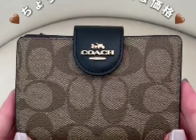 コーチの『折りたたみ財布』が可愛くて使い勝手◎〈ちょうど良いサイズ&価格〉-2026新作もご紹介