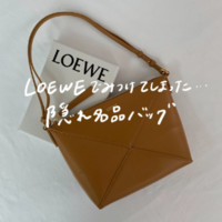 ロエベの隠れ名品『パズルのミニバッグ』をリサーチ!〈使い勝手&コスパ最強〉