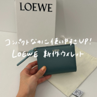 2025新作♢ロエベの『二つ折り財布』がコンパクトなのに優秀!〈ノットシリーズ〉