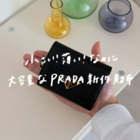 プラダの新作『折りたたみ財布』は小さいのに収納力がすごい!〈お取り寄せレビュー〉