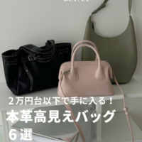 2万円台以下で叶う!高見え「本革バッグ」6選♪