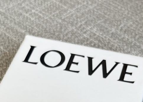 ランキング-“小さいのに実用的”。LOEWEハンモックフラップが優勝バッグな理由
