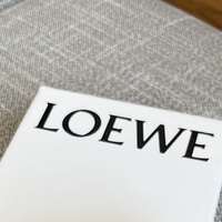 “小さいのに実用的”。LOEWEハンモックフラップが優勝バッグな理由