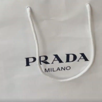 【2026春夏 PRADA】カリナ着用で話題!荷物が入るのにスタイリッシュなフラップ付きパサージュ新作