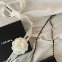 【新生CHANEL】いま選ぶなら「スモールボーリングバッグ」が答え!