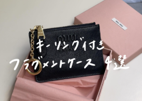 ランキング-キーリング付きの「フラグメントケース」が便利すぎて大優勝 | おすすめブランド4選