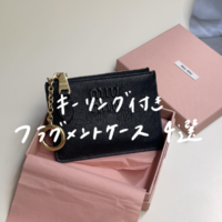 キーリング付きの「フラグメントケース」が便利すぎて大優勝 | おすすめブランド4選