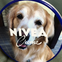 ニベア青缶の蓋を好きな写真に変えられる!? オリジナルニベア青缶購入レポ