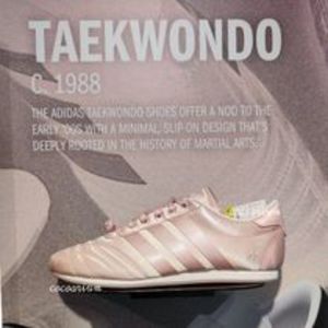 【日本未入荷】adidas新作チャイナボタンと刺繍が可愛いシューズ
