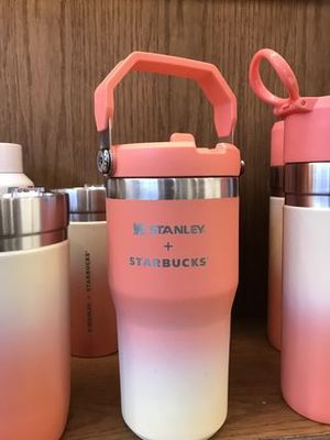 スタバ×スタンレー ウォーターボトル  水筒