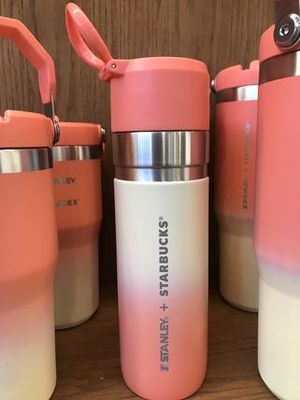 スタバ×スタンレー ウォーターボトル  水筒