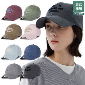 ★VARZAR★送料込み★大人気★TMV Lettering Ball Cap (Pigment)