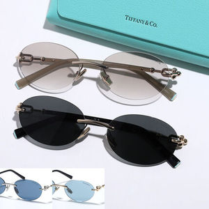 Tiffany&Co. サングラス HardWear ハードウェア TF3104-D